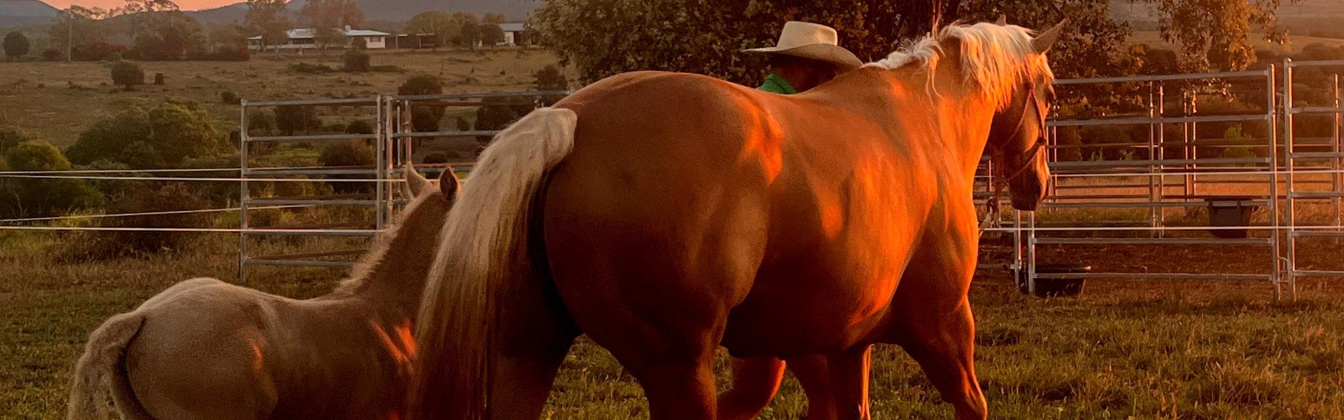 Tuff Tack Equestrian Ropes